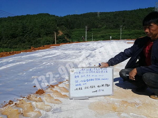 有紡土工布