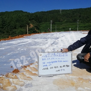 有紡土工布